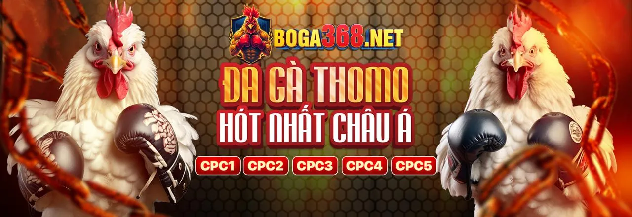 Đá gà trực tuyến tại vn16 Casino