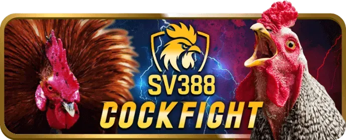 Không khí sòng bạc trực tiếp vn16 casino